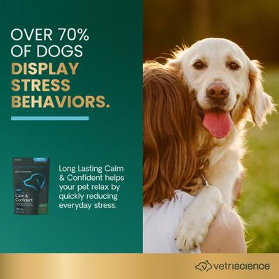 Show full view: VetriScience Composure Long Lasting Calm & Confident Clinically Tested Chicken Flavored Chews Calming Supplement for Dogs, 90 Chews slide 3 of 10