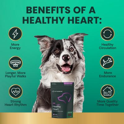 Show full view: VetriScience Vetri Cardio Extra Strength Healthy Heart Chicken Flavored Chews Supplement for Dogs, 60 count slide 6 of 10