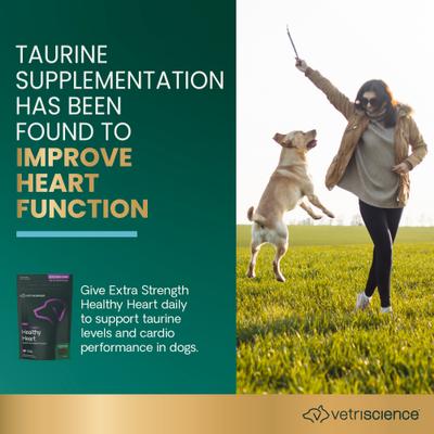 Show full view: VetriScience Vetri Cardio Extra Strength Healthy Heart Chicken Flavored Chews Supplement for Dogs, 60 count slide 3 of 10