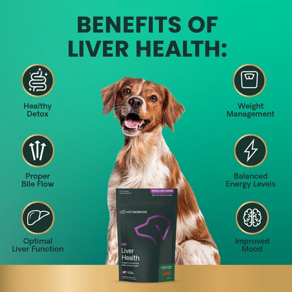 VetriScience Canine Plus Everyday Health Beef Liver Flavored Dog Tablets