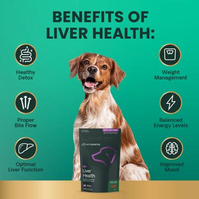 Show full view: VetriScience Vetri Liver Health Chicken Flavored Chews with Milk Thistle Liver Supplement for Dogs, 60 count slide 6 of 10