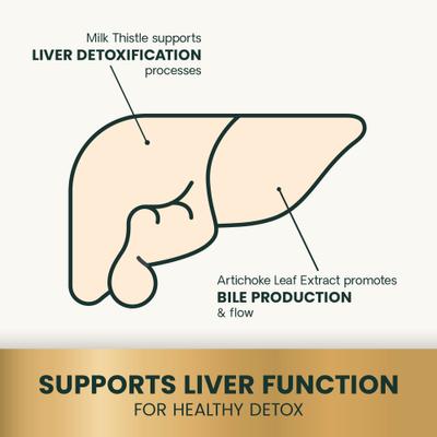 Show full view: VetriScience Vetri Liver Health Chicken Flavored Chews with Milk Thistle Liver Supplement for Dogs, 60 count slide 5 of 10