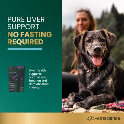 Show full view: VetriScience Vetri Liver Health Chicken Flavored Chews with Milk Thistle Liver Supplement for Dogs, 60 count slide 3 of 10