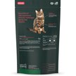 Show in main carousel: VetriScience Lysine Plus Lysine Immunity Health Chicken Flavored Chews Immune Supplement for Cats, 120 count slide 8 of 10