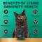 Show in main carousel: VetriScience Lysine Plus Lysine Immunity Health Chicken Flavored Chews Immune Supplement for Cats, 120 count slide 6 of 11