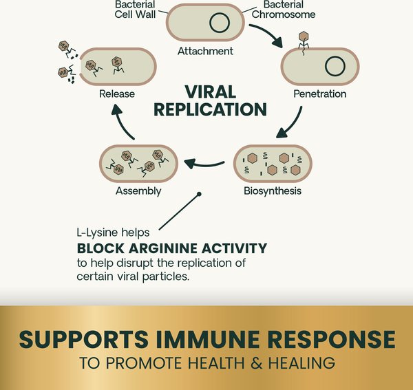 Show full view: VetriScience Lysine Plus Lysine Immunity Health Chicken Flavored Chews Immune Supplement for Cats, 120 count slide 4 of 10