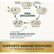 Show in main carousel: VetriScience Lysine Plus Lysine Immunity Health Chicken Flavored Chews Immune Supplement for Cats, 120 count slide 4 of 10