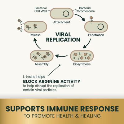 Show full view: VetriScience Lysine Plus Lysine Immunity Health Chicken Flavored Chews Immune Supplement for Cats, 120 count slide 5 of 11
