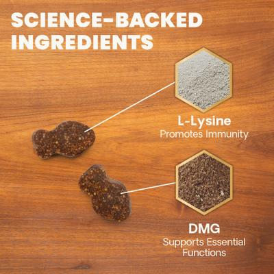 Show full view: VetriScience Lysine Plus Lysine Immunity Health Chicken Flavored Chews Immune Supplement for Cats, 120 count slide 4 of 11