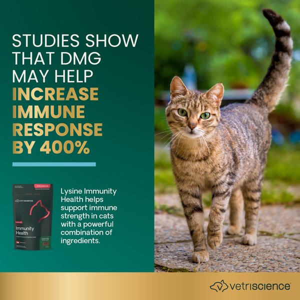 Show full view: VetriScience Lysine Plus Lysine Immunity Health Chicken Flavored Chews Immune Supplement for Cats, 120 count slide 2 of 10
