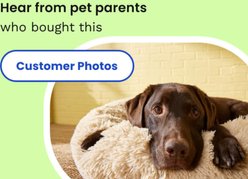 Native Pet Allergy & Immune Chews Allergy Relief Supplement for Dogs, 90 count slide 2 of 7