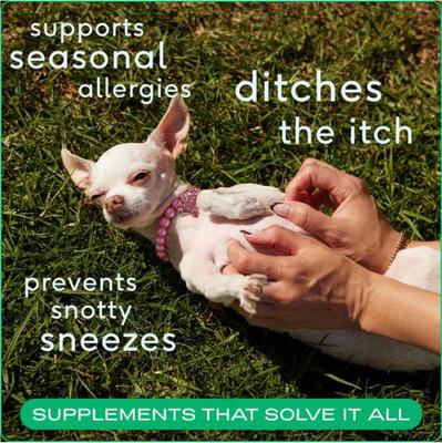 Show full view: Native Pet Allergy & Immune Chews Allergy Relief Supplement for Dogs, 90 count slide 4 of 9