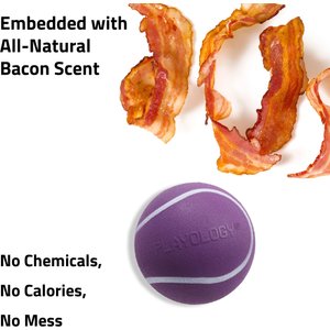 Playology Bacon Scented Squeaky Chew Ball Dog Toy, Medium