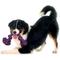 Show in main carousel: Playology Dri-Tech Rope Dog Toy, Medium, Bacon slide 4 of 10