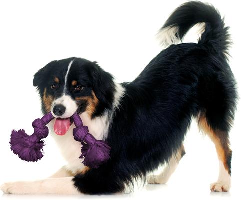 Show full view: Playology Dri-Tech Rope Dog Toy, Medium, Bacon slide 4 of 10