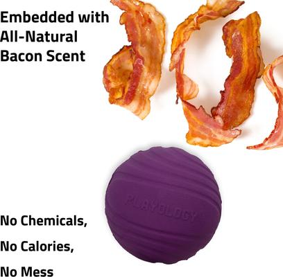 Show full view: Playology Bacon Scented Dual Layer Ball Dog Toy, Jumbo slide 5 of 9