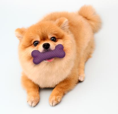 Show full view: Playology Bacon Scented Dual Layer Bone Dog Toy, Small slide 4 of 10