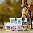 Show in main carousel: SmartEquine Seroquine Calmative Support Formula Pellets Horse Supplement, 4-lb bucket slide 6 of 7