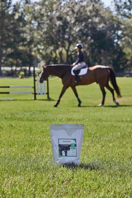 Show full view: SmartEquine SmartSupplements SmartLytes Pellet Horse Electrolyte Supplement, 7.5-lb bag slide 4 of 5