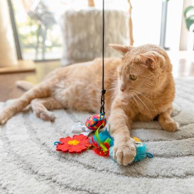 Show full view: Quirky Kitty Tropical Tabby Retractable Wand Cat Toy, 3 count slide 6 of 6