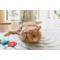 Show in main carousel: Quirky Kitty Tropical Tabby Retractable Wand Cat Toy, 3 count slide 5 of 6