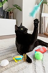 Quirky Kitty Send Noods Plush Cat Toy, 14 count slide 2 of 5