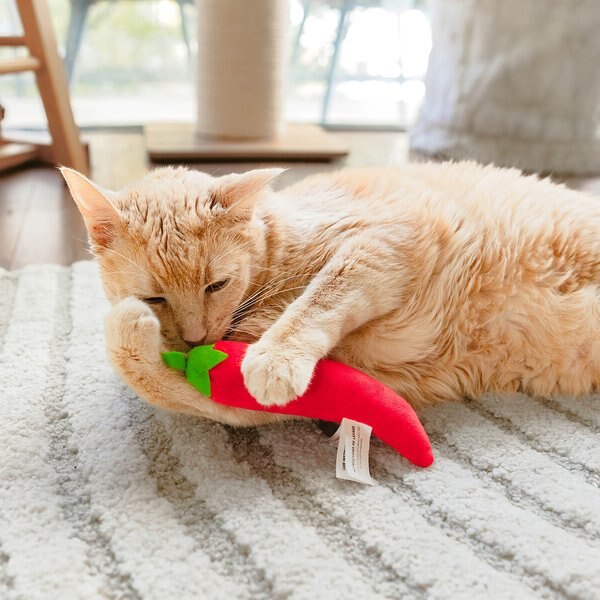 Quirky Kitty Send Noods Plush Cat Toy, 14 count