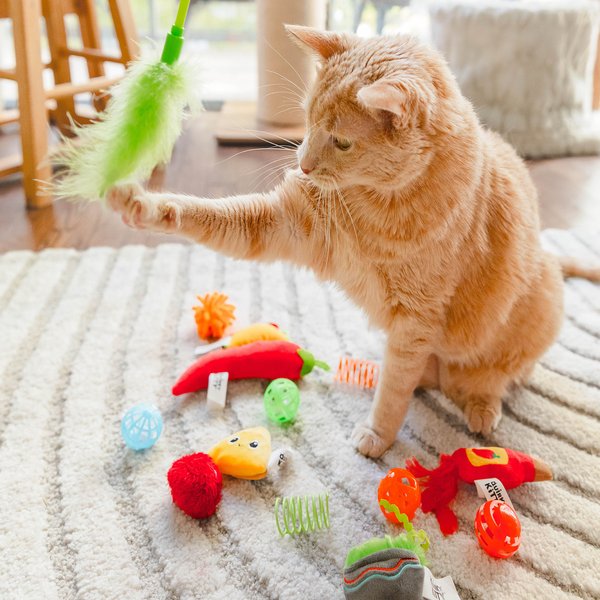 Quirky Kitty Italy Plush Cat Toy, 14 count