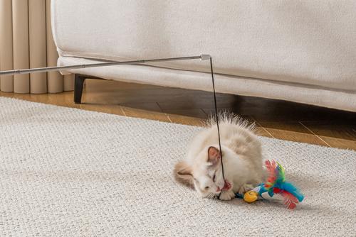 Show full view: Quirky Kitty Tropical Toucan Retractable Wand Cat Toy slide 4 of 6