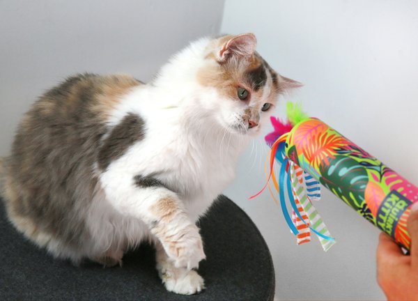 Quirky Kitty Peek & Pounce Wand Cat Toy