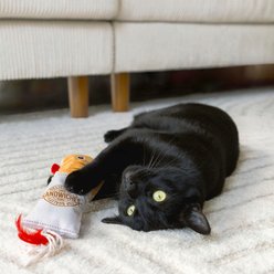 Quirky Kitty Deli Delight Kicker Cat Toy slide 2 of 3