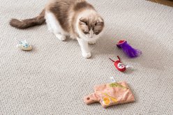 Quirky Kitty Cutie Charcuterie Board Play Mat Interactive Cat Toy slide 2 of 4