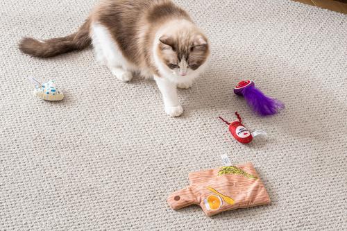 Show full view: Quirky Kitty Cutie Charcuterie Board Play Mat Interactive Cat Toy slide 3 of 5