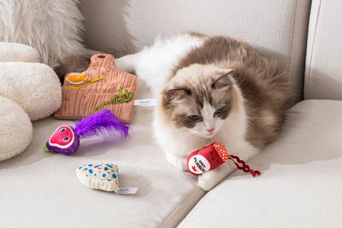 Show full view: Quirky Kitty Cutie Charcuterie Board Play Mat Interactive Cat Toy slide 4 of 5
