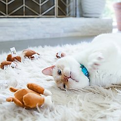 Mad Cat Rotisserie Chicken Plush Cat Toy, 6 count slide 2 of 5