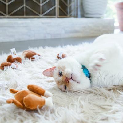 Show full view: Mad Cat Rotisserie Chicken Plush Cat Toy, 6 count slide 5 of 7