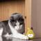 Show in main carousel: Casa Leo Pear Interactive Laser Cat Toy slide 8 of 9