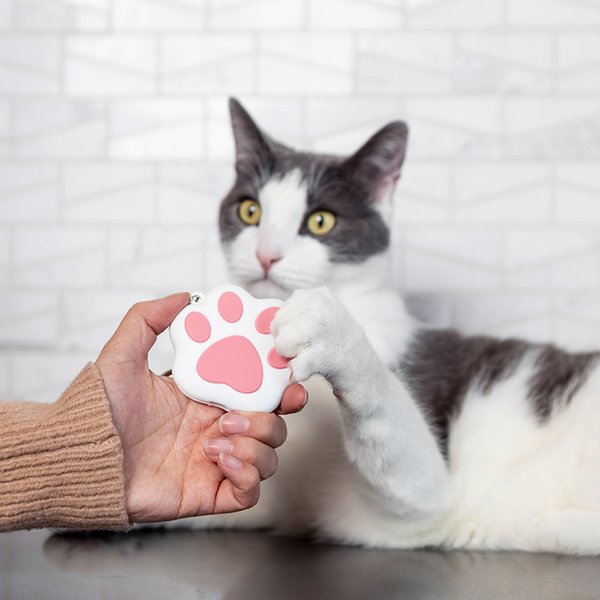 Casa Leo Paw Interactive Laser Cat Toy
