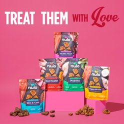 Nulo Functional Skin & Coat Salmon Jerky Dog Treats, 5-oz pouch slide 2 of 8