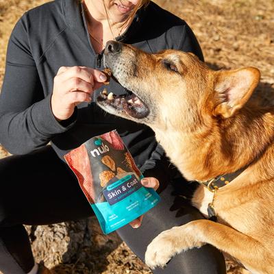 Show full view: Nulo Functional Skin & Coat Salmon Jerky Dog Treats, 5-oz pouch slide 6 of 11