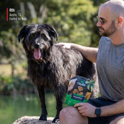 Show full view: Nulo Functional Mobility Chicken Dog Jerky Treats, 5-oz pouch slide 6 of 11