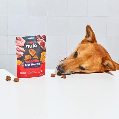Show full view: Nulo Functional Gut Health Lamb & Turkey Jerky Dog Treats, 5-oz pouch slide 6 of 11