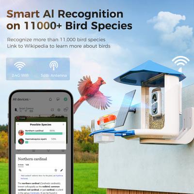 Show full view: PerchMe Canopy Smart Bird Feeder with Camera, Azure slide 6 of 11