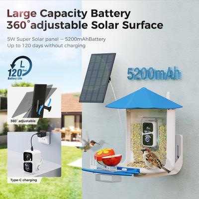 Show full view: PerchMe Canopy Smart Bird Feeder with Camera, Azure slide 8 of 11