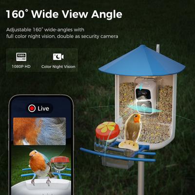 Show full view: PerchMe Canopy Smart Bird Feeder with Camera, Azure slide 5 of 11
