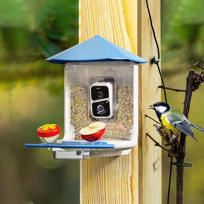 Show full view: PerchMe Canopy Smart Bird Feeder with Camera, Azure slide 3 of 11