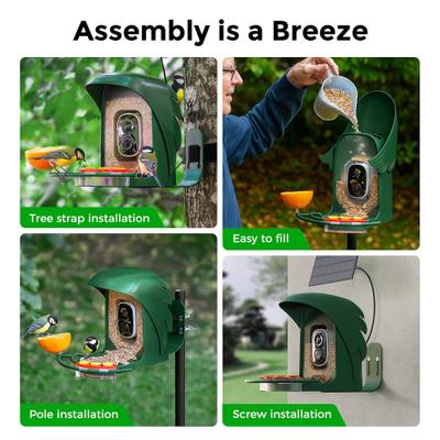 Show full view: PerchMe Feather-Shaped Smart Bird Feeder with Camera, Forest Green slide 7 of 10