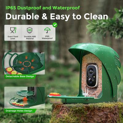 Show full view: PerchMe Feather-Shaped Smart Bird Feeder with Camera, Forest Green slide 5 of 10