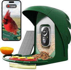 PerchMe Feather-Shaped Smart Bird Feeder with Camera, Forest Green slide 1 of 9