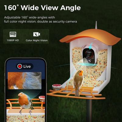 Show full view: PerchMe Smart Bird Feeder with Camera, Mango Tango slide 5 of 10